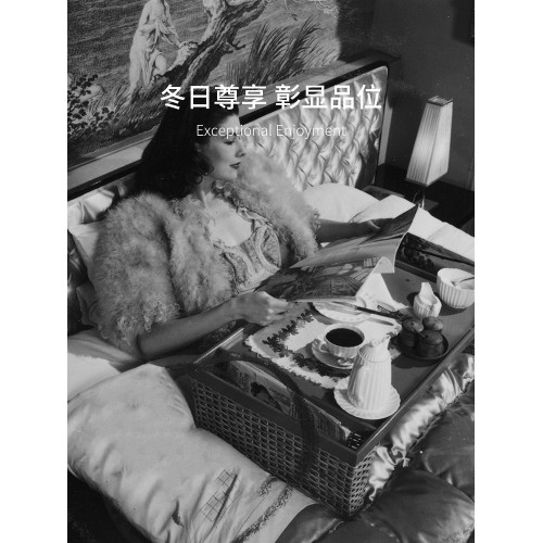 匠人純手工匈牙利95鵞絨被芯日本真絲羽絨冬被子高級床上用品冬季