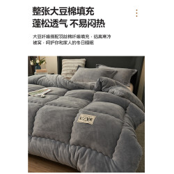 法國JK輕奢2025新款夏季加厚牛奶絨珊瑚絨高級感被子被芯蓄熱保暖