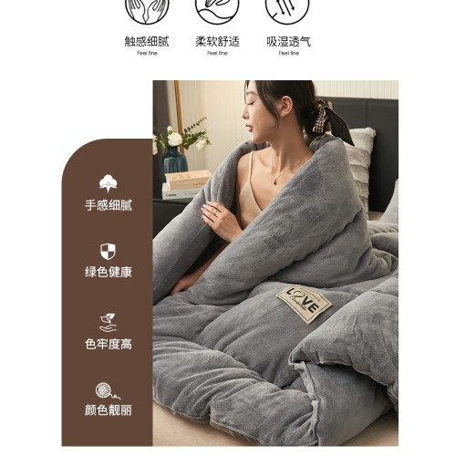 法國JK輕奢2025新款夏季加厚牛奶絨珊瑚絨高級感被子被芯蓄熱保暖
