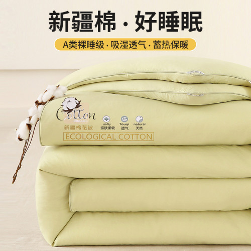 A類新疆長絨棉被子被芯100%純棉全棉夏被春秋被棉絮加厚保暖冬被 A類新疆長絨棉被子被芯100%純棉全棉夏被春秋被棉絮加厚保暖冬被