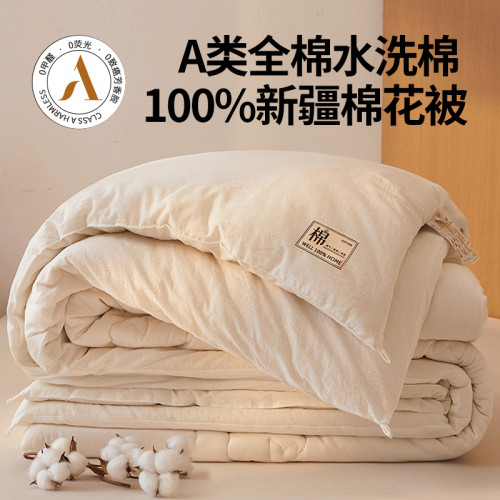2025新款A類抗菌裡外全棉100%新疆棉花被