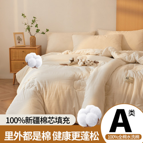 2025新款A類抗菌裡外全棉100%新疆棉花被
