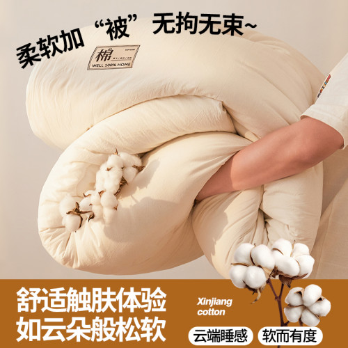 2025新款A類抗菌裡外全棉100%新疆棉花被