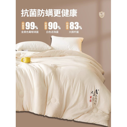 原棉大豆被子加厚保暖冬被全棉被被芯純棉春秋被四季通用宿舍單人 原棉大豆被子加厚保暖冬被全棉被被芯純棉春秋被四季通用宿舍單人