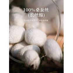 萬事利草本小被多功能可攜式旅行披肩午睡小被子100%桑蠶絲被夏涼被