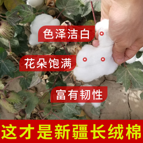 新疆棉花被冬被加厚保暖被芯純棉花被子手工冬天棉被棉絮學生宿舍