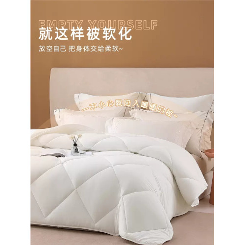 夢潔家紡全棉大豆纖維被子純棉大豆加厚冬被芯10斤248X248子母被 夢潔家紡全棉大豆纖維被子純棉大豆加厚冬被芯10斤248X248子母被