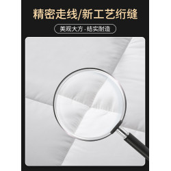五星級酒店被芯賓館民宿被子全棉被芯羽絲絨羽絲棉保暖四季被冬被