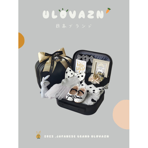 日本Ulovazn禮盒#女童套裝夏款公主風嬰兒裝夏女寶寶衣服女嬰夏裝