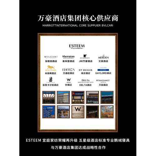 ESTEEM/宜庭拾穗者匈牙利95白鵞絨被子母被二合一被【專櫃同款】