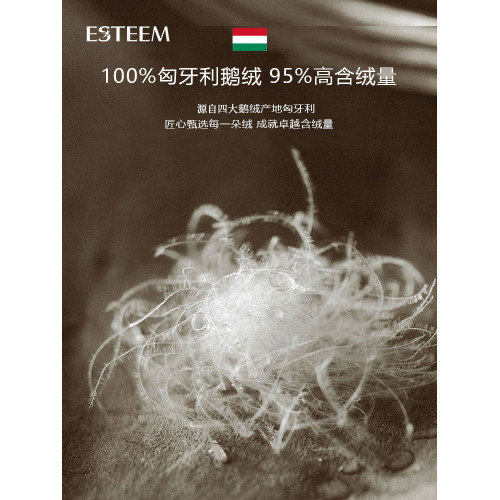ESTEEM/宜庭拾穗者匈牙利95白鵞絨被子母被二合一被【專櫃同款】