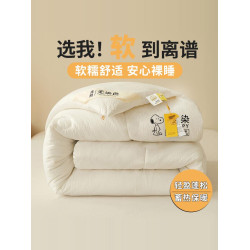 史努比無染大豆被華夫格大豆纖維被單雙人四季通用保暖被子冬被