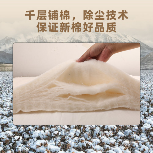 中棉集團100%新疆棉花被全棉被子一級純棉花春秋被冬被加厚棉被