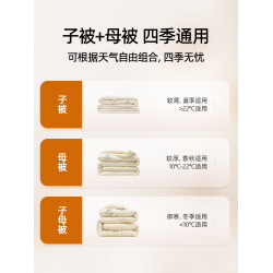 婧麒A類全棉兒童新疆棉被子純棉被褥秋冬季加厚保暖家用寶寶被芯a