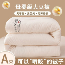 南極人A類母嬰級原棉大豆被加厚春秋被大豆纖維被芯冬被被子禮品