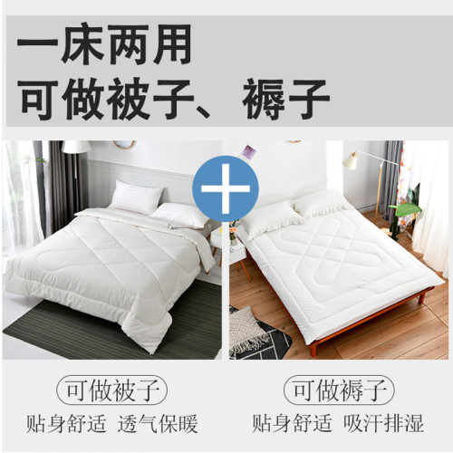 被子棉花被芯加厚被套租房臨時保暖被胎學生宿舍單人鋪蓋被褥墊子