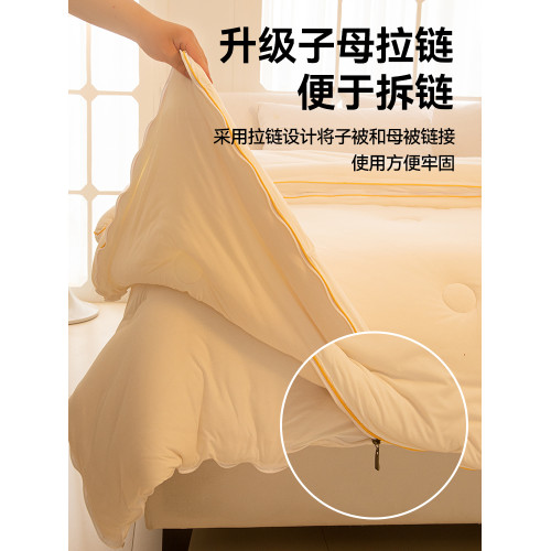 A類拉鍊款二合一子母被大豆纖維全棉被子被芯冬被加厚保暖四季被