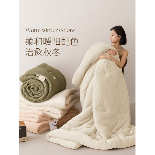 艾美家法式雲朵紗被子四季被可機洗春秋被被子柔軟美拉德純色暖被