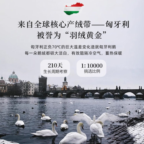 匈牙利進口95%白鵞絨被芯被子五星酒店高級羽絨被春秋被加厚冬被