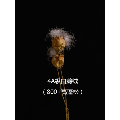 羽絨被95白鵞絨冬被加厚保暖春秋被芯全棉靜音五星級酒店雙人被子