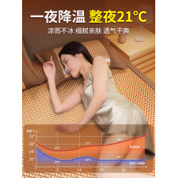 A類母嬰級高級涼蓆冰藤蓆2025新款家用冰絲蓆子機洗夏季學生宿舍