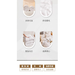 酒店專用2米x2米3被子被芯150x200春秋冬被加厚賓館白色雙人1.8米