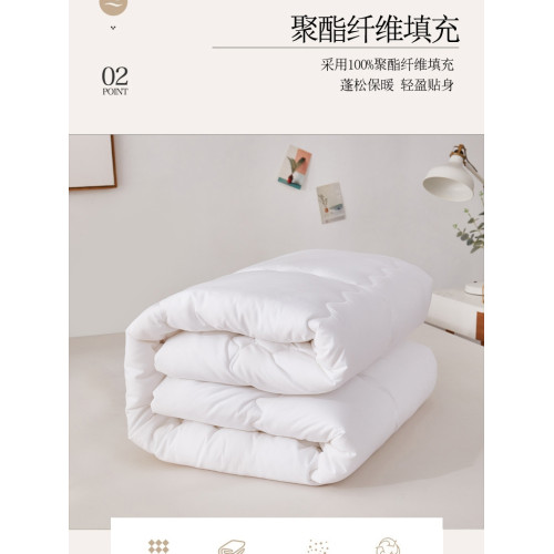 酒店專用2米x2米3被子被芯150x200春秋冬被加厚賓館白色雙人1.8米