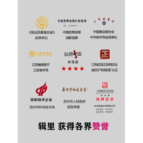 輯裡蠶絲被加厚被子被芯1.5斤2.5斤3.5斤4.5斤雙宮繭冬被高提夏被