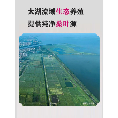 輯裡蠶絲被加厚被子被芯1.5斤2.5斤3.5斤4.5斤雙宮繭冬被高提夏被