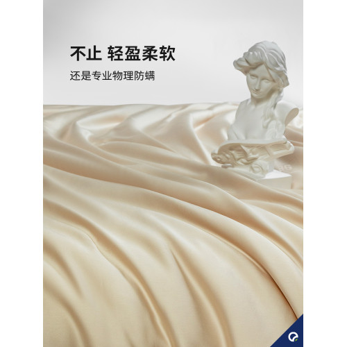 安敏諾暖晶被春秋被防蟎防蟎蟲被子被芯冬被冬天冬季被褥單人保暖
