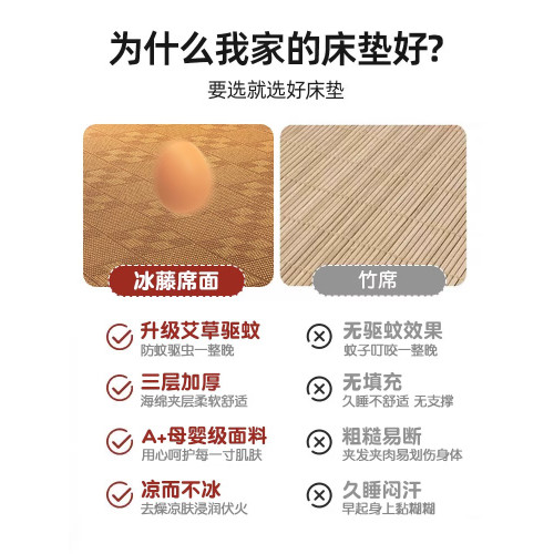 榻榻米涼蓆a類母嬰2025夏季新款藤蓆地上睡覺專用墊學生宿舍床墊