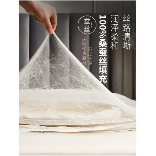 蠶絲被夏涼被冬被100%桑蠶絲四季通用保暖被子被芯春秋被被子被芯