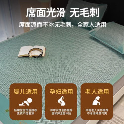 德國新款艾草驅蚊涼蓆單人可折曡學生床墊夏季可水洗防蚊涼蓆墊子