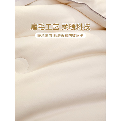 夢蘭家紡春秋被大豆纖維被子加厚冬被棉被學生宿舍子母被四季被芯