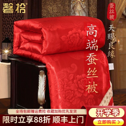 高級婚慶蠶絲被100%桑蠶絲子母被二合一新婚大紅色陪嫁被芯喜被子