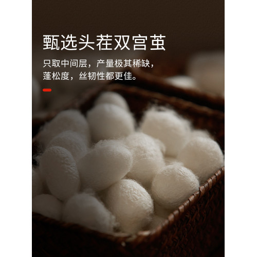 金加瀛高級蠶絲被純手工100%桑蠶絲被子秋冬被子母被夏被春秋被芯
