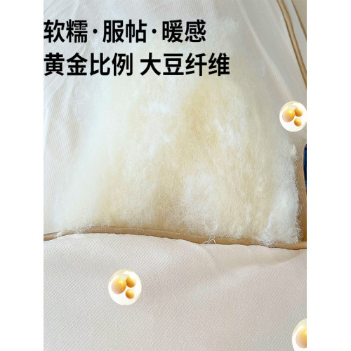 被子冬被10/12斤大豆被A類抗菌冬被加厚保暖羽絲絨學生捨太空冬季