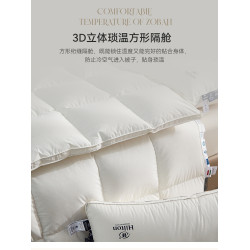 5A抗菌匈牙利95%白鵞絨被 Hilton&Resorts酒店被子羽絨被加厚冬被
