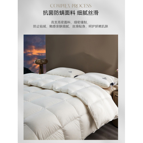 5A抗菌匈牙利95%白鵞絨被 Hilton&Resorts酒店被子羽絨被加厚冬被