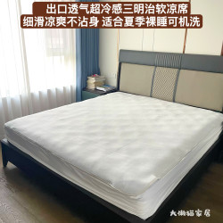 超值推薦！日式夏季超冷感冰絲軟涼蓆透氣三明治裸睡不沾身可機洗