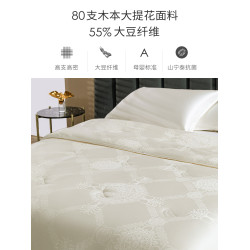 高級55%大豆纖維被A類大提花被子冬被加厚保暖被芯春秋被四季通用