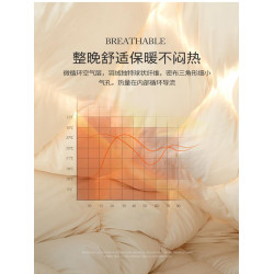 瑞士洲際五星酒店羽絨被子95匈牙利加厚大朵白鵞絨絲冬被暖氣被芯