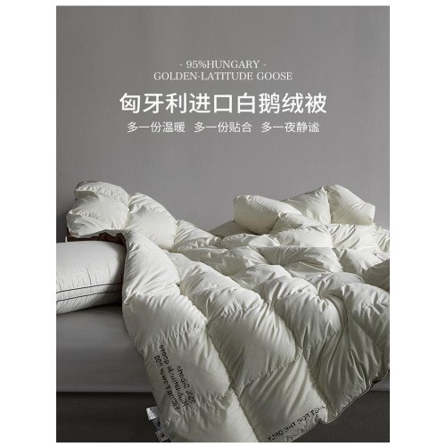 瑞士洲際五星酒店羽絨被子95匈牙利加厚大朵白鵞絨絲冬被暖氣被芯