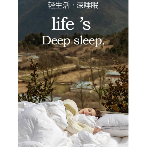 瑞士洲際五星酒店羽絨被子95匈牙利加厚大朵白鵞絨絲冬被暖氣被芯