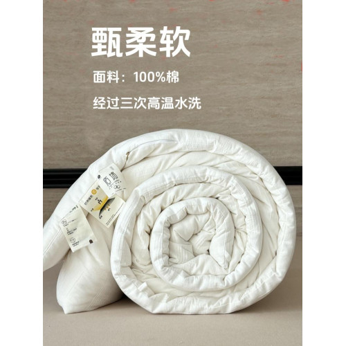五星級酒店全棉A類大豆纖維被春秋被子夏涼被學生宿舍棉被芯冬被
