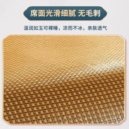 學生宿舍涼蓆家用冰藤蓆榻榻米床墊子冬夏兩用草蓆打地鋪蓆子加厚
