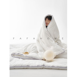 FAFAHOME雲絨纖維被子秋冬加厚保暖被芯四季通用雙人單人學生宿舍