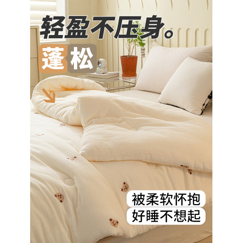 法國JK輕奢A類母嬰級小熊大豆纖維被加厚保暖被子被芯夏季棉被褥4