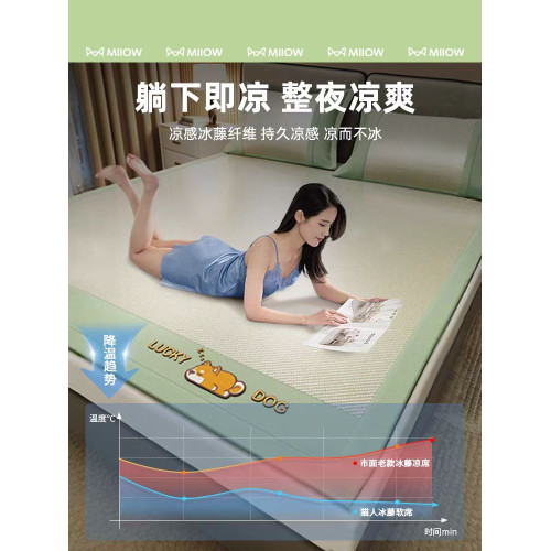 冰絲涼蓆藤蓆夏天2025新款可機洗蓆子夏季a類母嬰級可用竹蓆床笠3