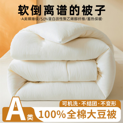 北極絨蠶絲被100%全棉被子被芯大豆維被棉被學生宿舍子母被二合一